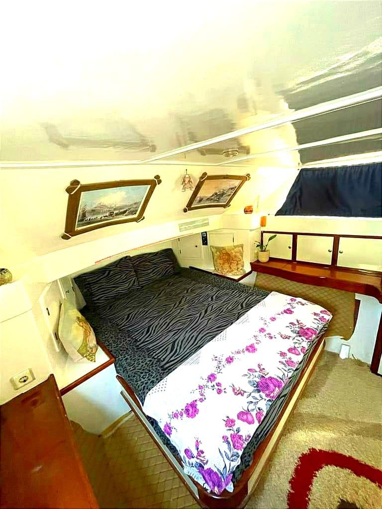 37428ab0-5ed3-430f-8d3b-d884de0bf1bf